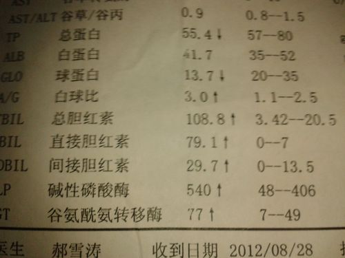 肝功能五项多少钱