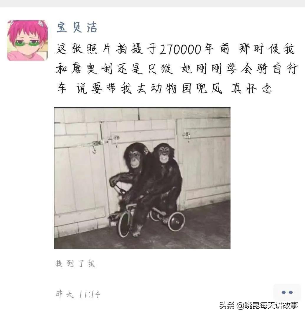 如果国足获得世界杯冠军（神回复：如果我带领国足赢得世界杯，我会是什么待遇？神评绝了）