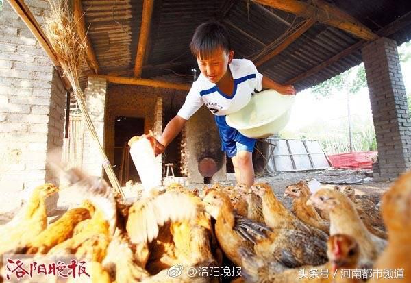 废篮球可以做什么（洛阳贫困户用饲料桶圈儿做成篮球筐，圆儿子的篮球梦！）