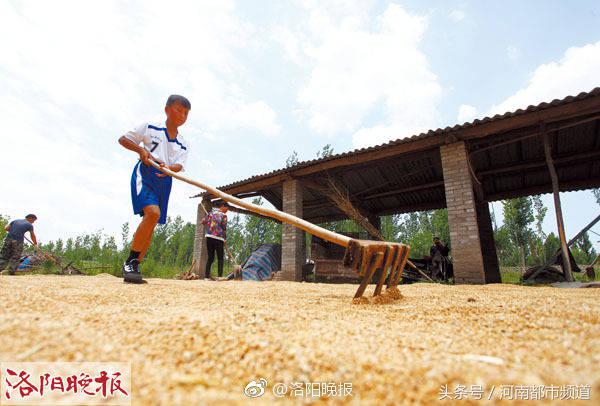 废篮球可以做什么（洛阳贫困户用饲料桶圈儿做成篮球筐，圆儿子的篮球梦！）