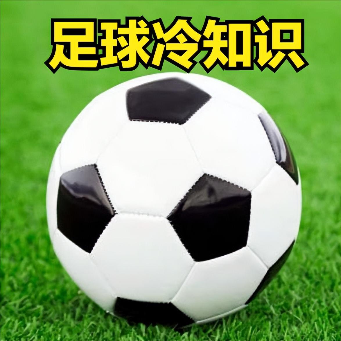 足球比赛为什么不让进球（足球比赛的这些冷知识你都了解吗）