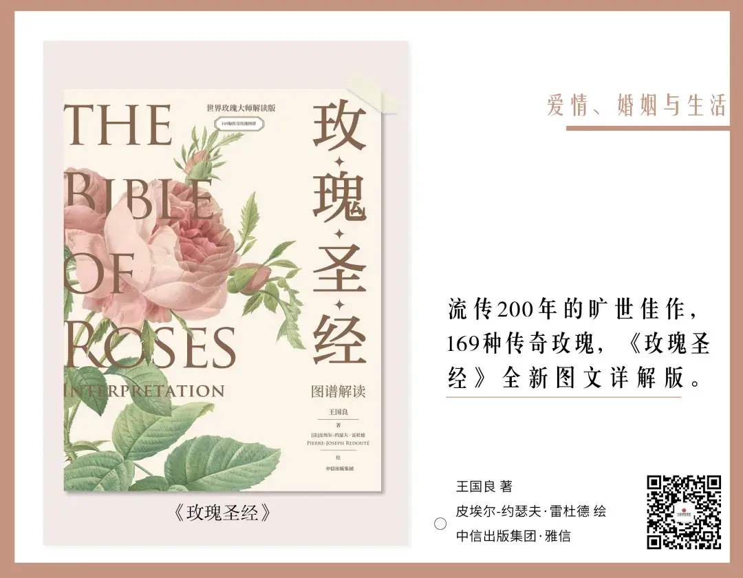 关于婚姻的书籍推荐（情人节书单｜15本书，带你重新认识爱情、婚姻和幸福）