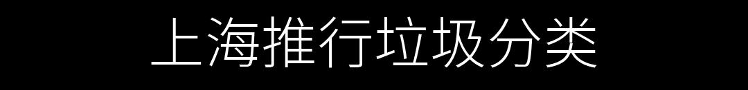 成功卫冕2019女排世界杯冠军（想见你，2019的广州）