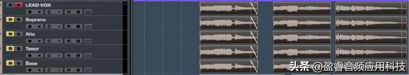 cubase10.5人声修正（「宿主软件」Cubase Pro 音频编辑篇之人声音高修正）