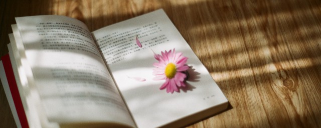 杆的拼音