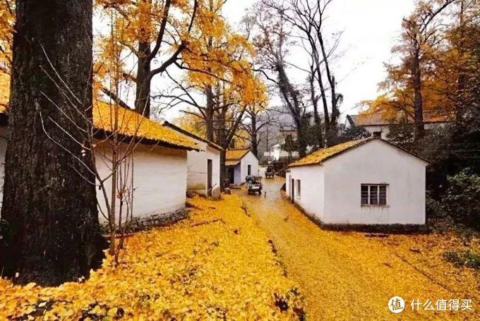 湖州滑雪场门票多少钱（被低估的江南宝藏，旅游价值洼地 - 湖州旅游攻略）