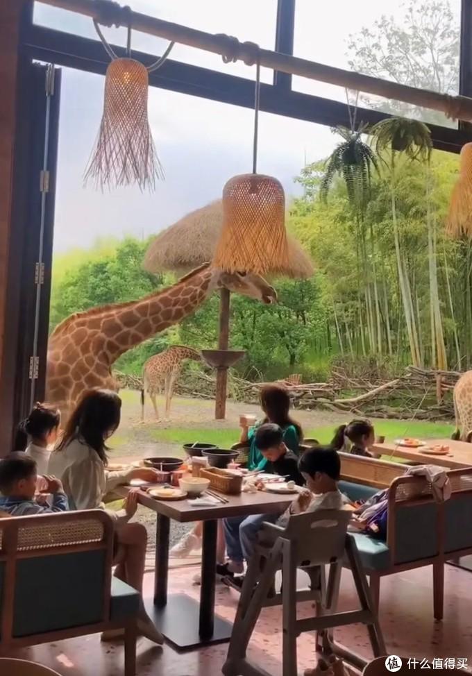 湖州滑雪场门票多少钱（被低估的江南宝藏，旅游价值洼地 - 湖州旅游攻略）