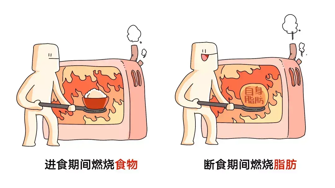 为什么nba不吃碳水化合物（詹姆斯、科比等NBA球星都使用过的健身方法....你要不要学一下？）