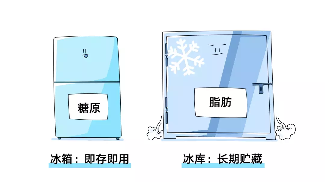 为什么nba不吃碳水化合物（詹姆斯、科比等NBA球星都使用过的健身方法....你要不要学一下？）