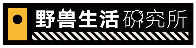 为什么nba不吃碳水化合物（詹姆斯、科比等NBA球星都使用过的健身方法....你要不要学一下？）