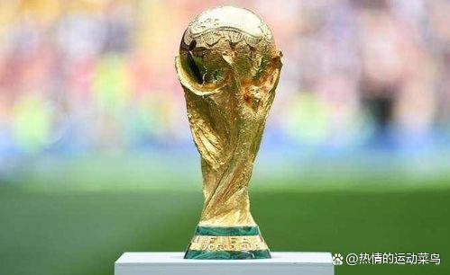 国际足联世界杯是几年举办一次（世界杯为何四年一届？）