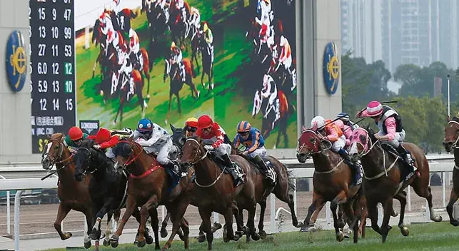 香港赛马协会（高层年薪高过港大校长的香港赛马会，到底是个什么机构？）