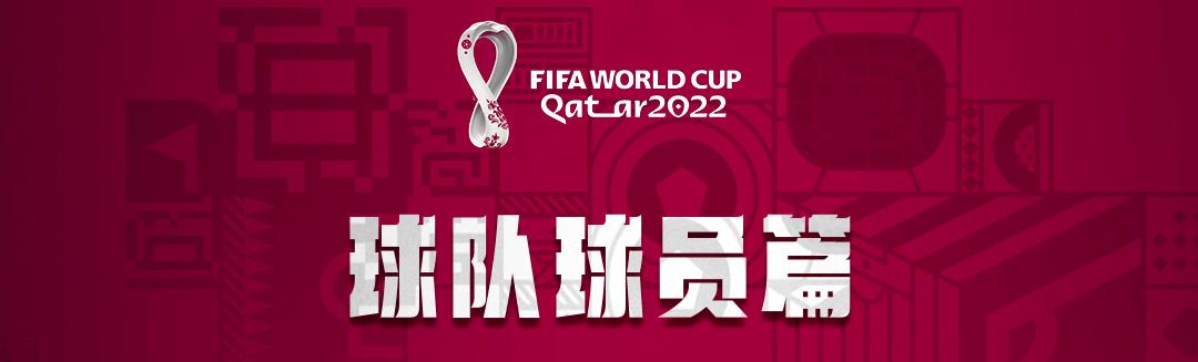 上届世界杯篮球冠军是谁（世界杯球迷速成秘籍，看这一篇就够了）