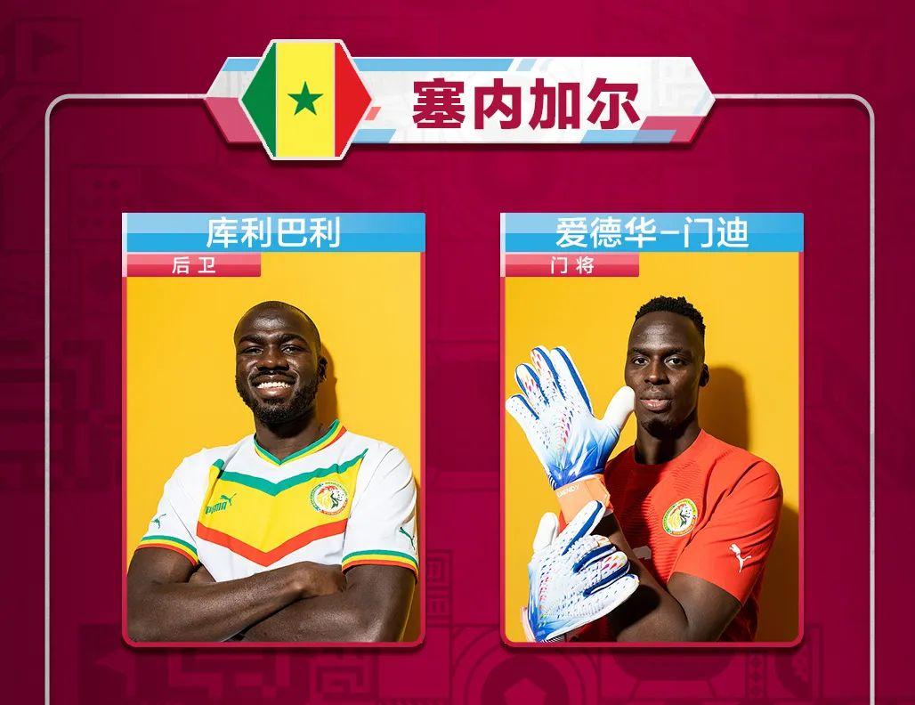 上届世界杯篮球冠军是谁（世界杯球迷速成秘籍，看这一篇就够了）