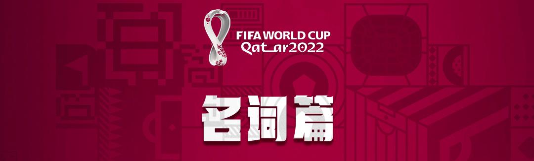 上届世界杯篮球冠军是谁（世界杯球迷速成秘籍，看这一篇就够了）